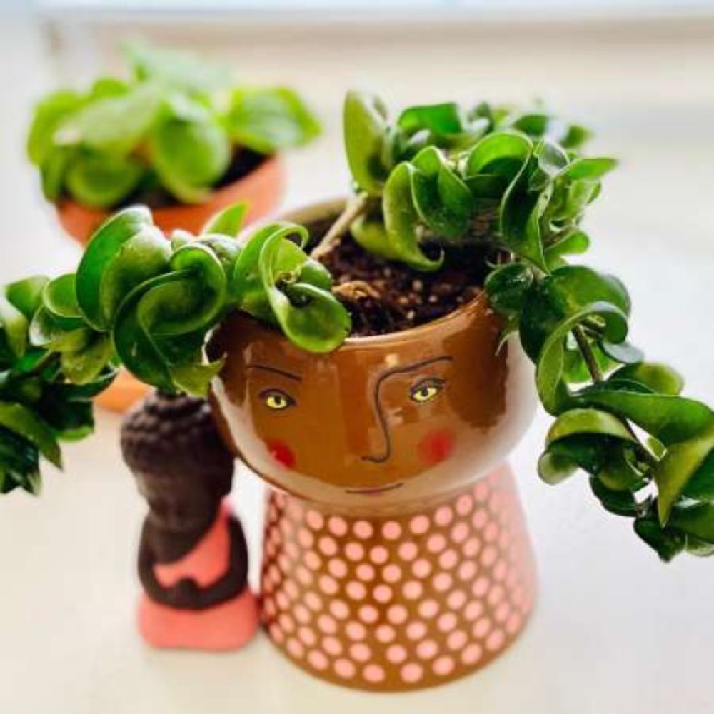 Opalhouse Stoneware Family Planter Pot - Picture 3 of 16